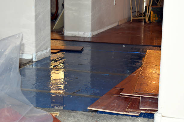 Professional Burst Pipe Water Damage technician working in Mohler, WA